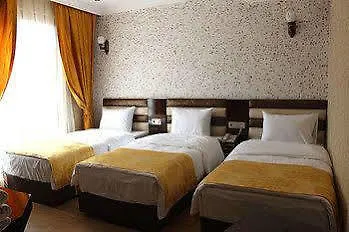 Hotel Grand Mina 3*